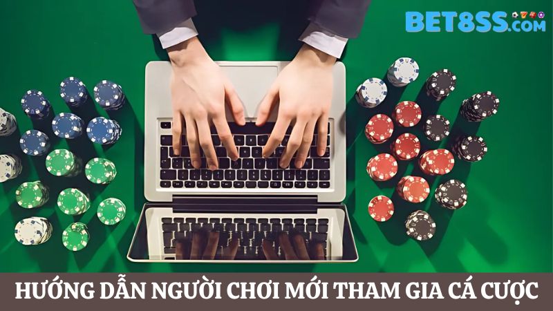 Tôn Ánh Tuyết hướng dẫn người chơi mới tham gia cá cược